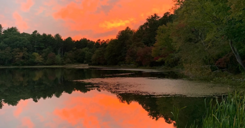 Enjoy A Stroll On A Little-Known Path Along This Scenic Pond Trail