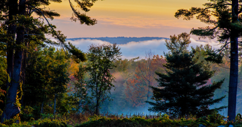 Few People Know The Real Reason Behind Bridgton Becoming The Switzerland Of Maine