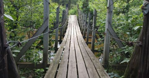 Exploring This Hidden State Park In Michigan Is The Definition Of An Underrated Adventure