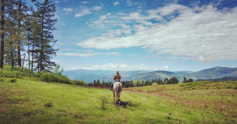 The Perfect Washington Getaway To Take If You Have Been Dreaming Of Big Sky Adventure