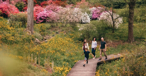 Your Ultimate Guide To Spring Attractions And Activities In North Carolina