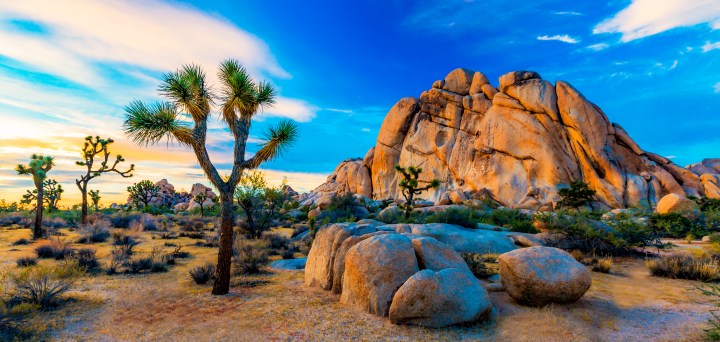 Old Woman Rock - Joshua Tree National Park, California