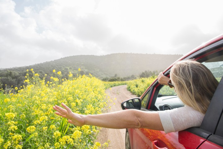 flower road trip in Arkansas