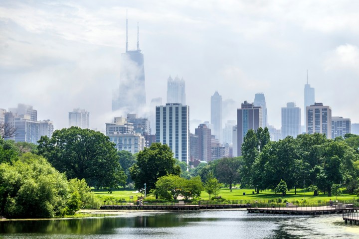 Fog coming into the downtown area of Chicago as seen from the Nature Boardwalk in Lincoln Park