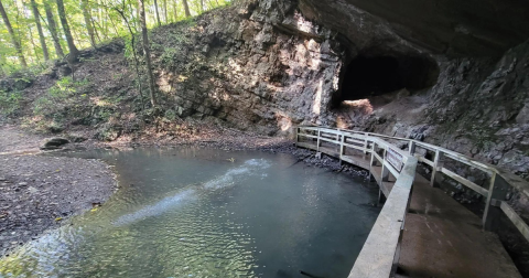 This Iconic Hiking Trail In Georgia Is One Of The Coolest Outdoor Adventures You’ll Ever Take