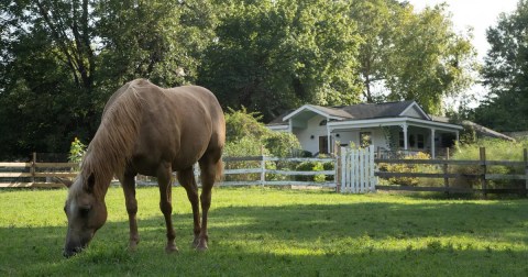 The Perfect Spring Getaway In Alabama Starts With One Of These 9 Picture-Perfect Airbnbs