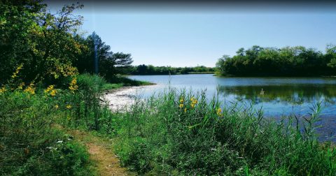 This Easy 1.4-Mile Trail In Oklahoma Is Covered In Wildflower Blooms In The Springtime