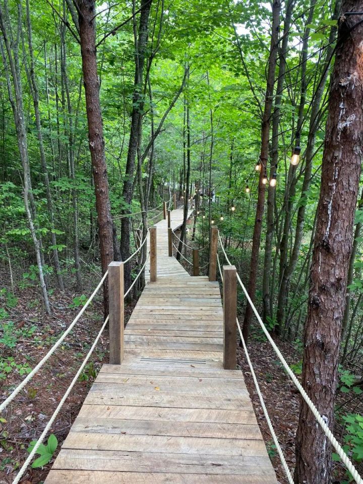 treehouse with a view in North Carolina