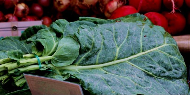 collards are making a comeback in North Carolina