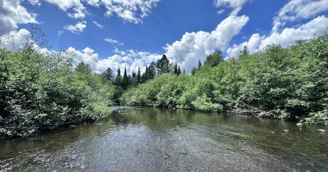 Wisconsin’s First County Forest Offers Endless Scenic Beauty