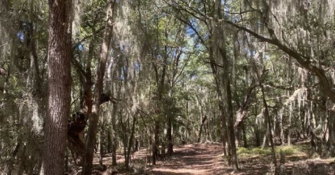 Enjoy A Secluded Stroll On A Little-Known Path Along This Protected Freshwater Island