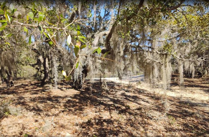 Remote Hiking Trails in South Carolina