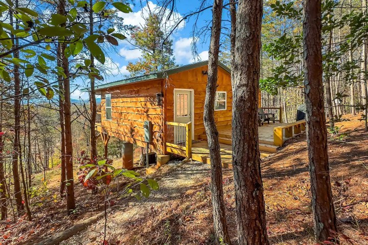 treehouse with a view in North Carolina