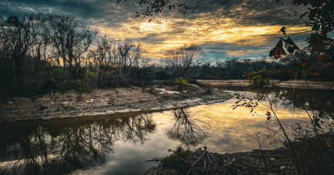 Enjoy An Unexpectedly Magical Hike On This Little-Known Trail In Louisiana