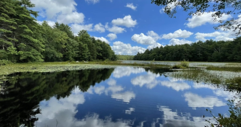 This Scenic Hiking Trail In Rhode Island Is The Perfect Day Trip Destination