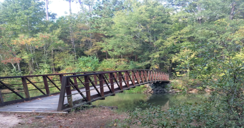 Few People Know This Beautiful Hiking Trail In Louisiana Even Exists