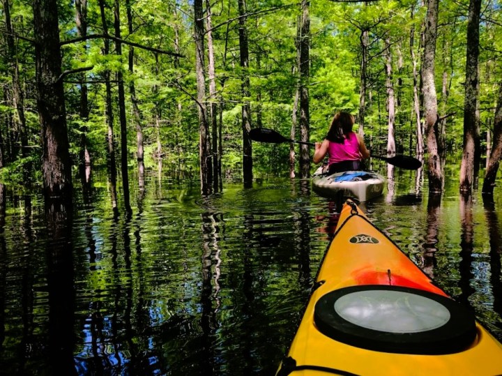 Water Trail in Mayflower