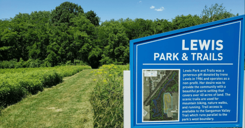 This Easy 1.8-Mile Trail In Illinois Is Covered In Wildflower Blooms In The Springtime