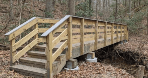 This Easy 1.5-Mile Trail In Maryland Features Stunning Wildflower Blooms In The Springtime