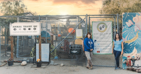 Get Up Close To Exotic Animals At This Immersive Sanctuary In Southern California