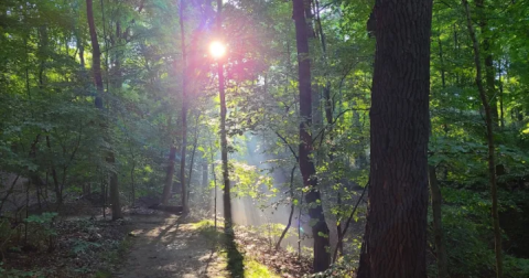 Sand Run Metro Park Near Cleveland Just Turned 95 Years Old And It's The Perfect Spot For A Day Trip