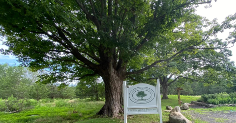 This Secluded Loop Trail In Connecticut Is Worthy Of An Adventure