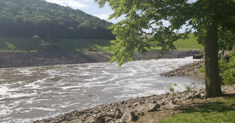 This Epic 15-Mile Trail In Kansas Is Covered In Greenery And Beautiful Blooms In The Springtime