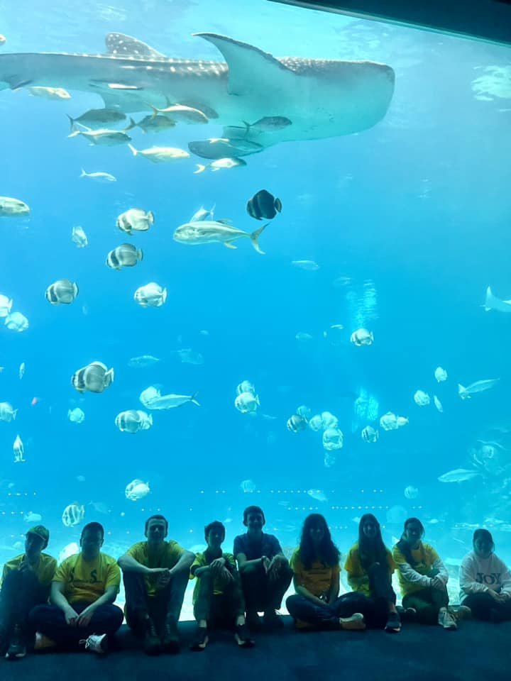 pregnant stingray in north carolina