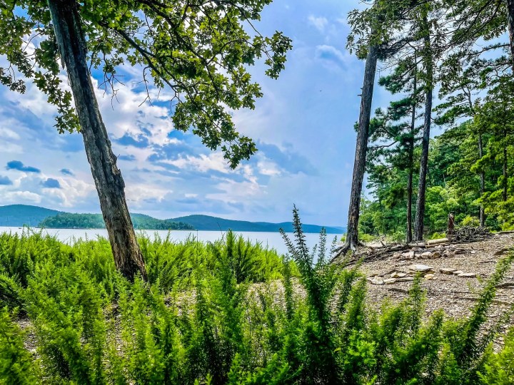 wild hiking trail in Arkansas