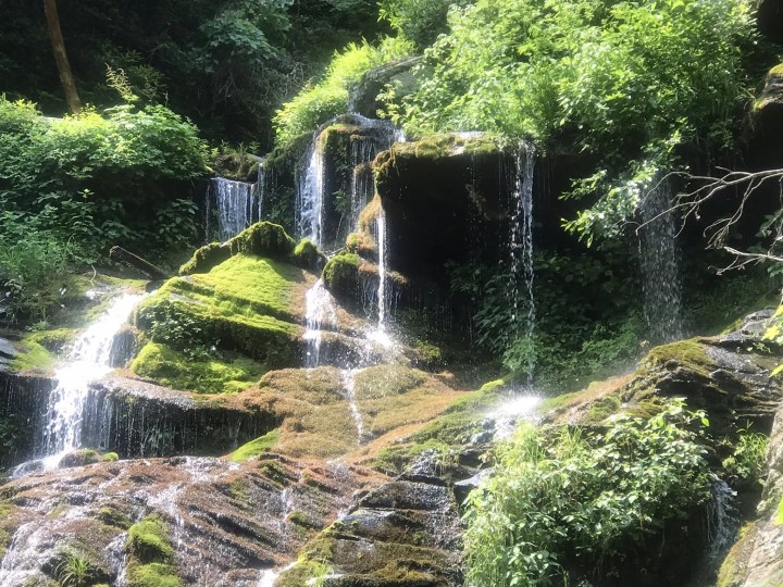 trail reopening in North Carolina