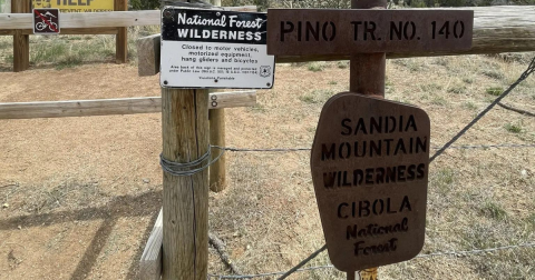 This Easy 0.6-Mile Trail In New Mexico Is Covered In Wildflower Blooms In The Springtime