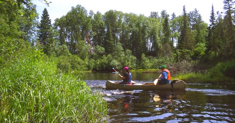 Plot A Course For Bears And Eagles On This Wild Minnesota Paddling Adventure