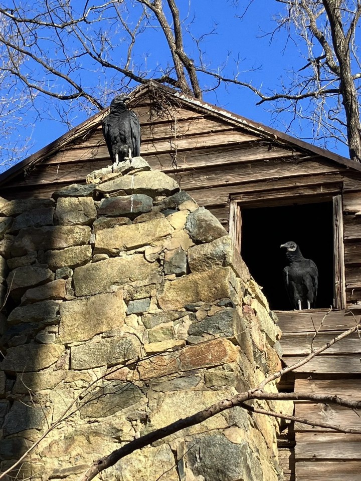 ruins in North Carolina