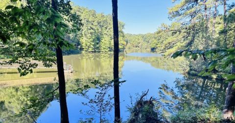 A Peaceful Escape Can Be Found Along The Sycamore Loop Trail In North Carolina