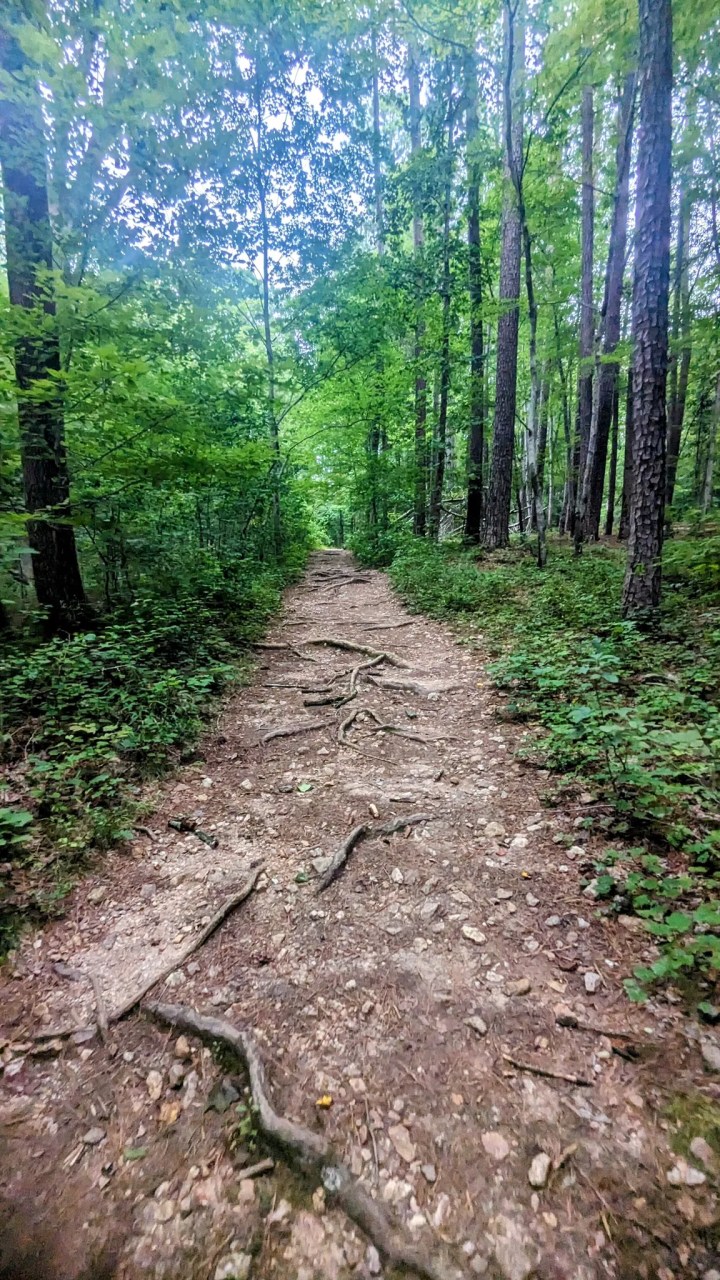 best hike near raleigh, north carolina