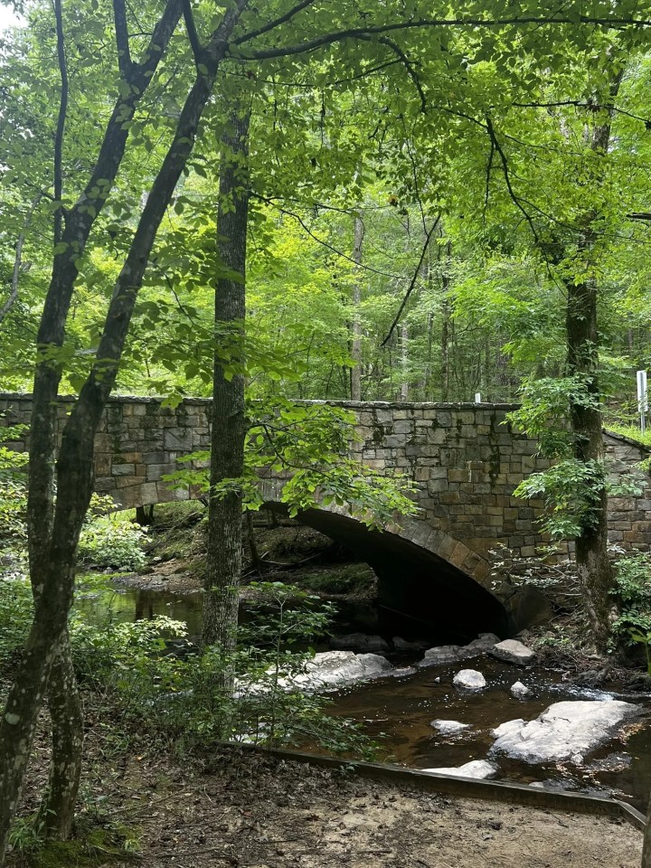 best hike near raleigh, north carolina