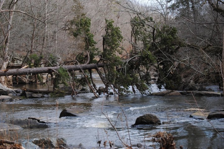 ruins in North Carolina