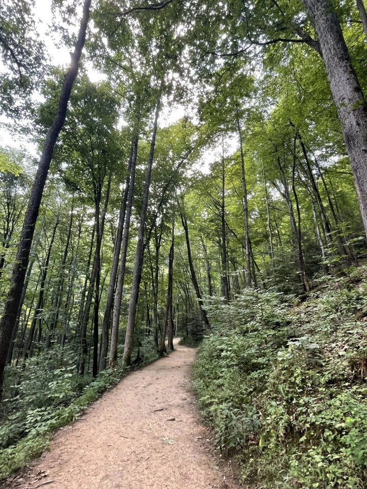 trail reopening in North Carolina