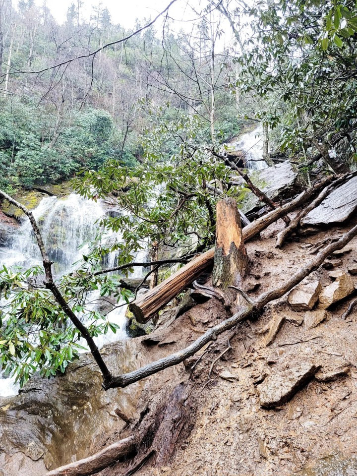 trail reopening in North Carolina