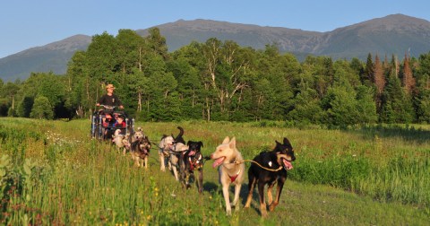 The Whole Family Could Spend An Entire Day Having A Blast At Muddy Paw Sled Dog Kennel In New Hampshire