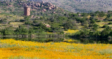 The Incredible Flower Road Trip Through Oklahoma Is The Ultimate Spring Adventure