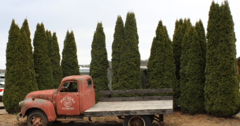 We Spent The Day For A Once-In-A-Lifetime Celestial Event, But This Pennsylvania Farm Is A Must-Visit Anytime