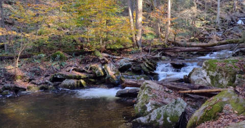 A Peaceful Escape Can Be Found At Dean's Ravine Falls In Connecticut