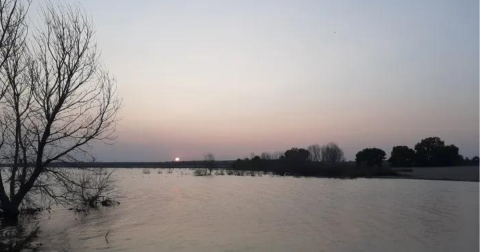 You’ll Never Forget Your Stay At Cedar Bluff State Park Campground, A Waterfront Campground In Kansas