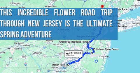 This Incredible Flower Road Trip Through New Jersey Is The Ultimate Spring Adventure