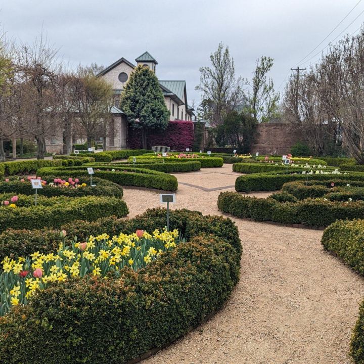 flower road trip in North Carolina