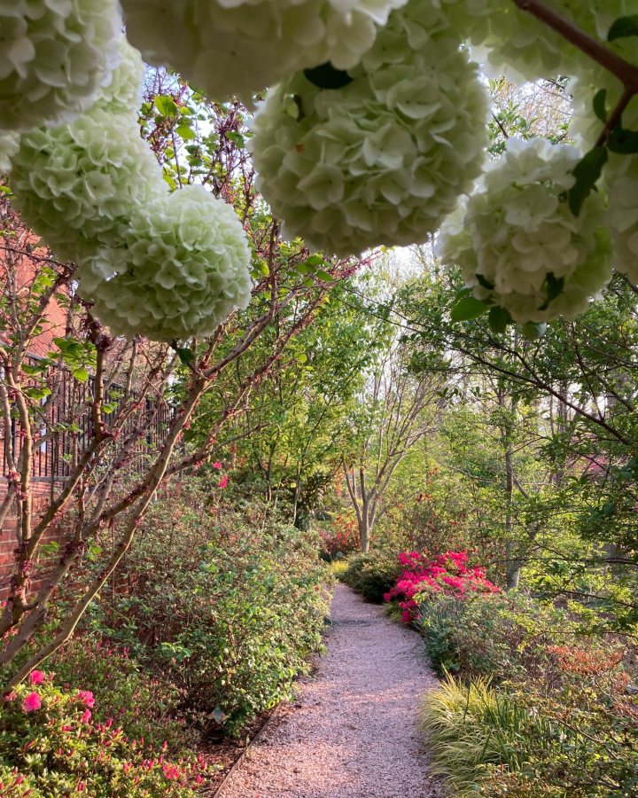 flower road trip in North Carolina