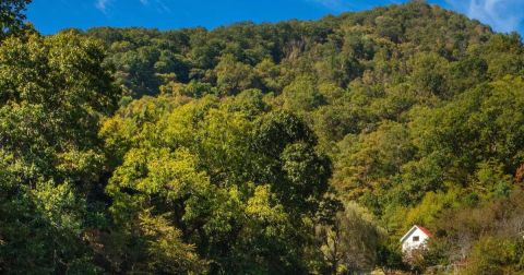 Escape To The Countryside When You Stay At This Rural Airbnb In North Carolina