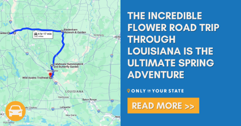 The Incredible Flower Road Trip Through Louisiana Is The Ultimate Spring Adventure