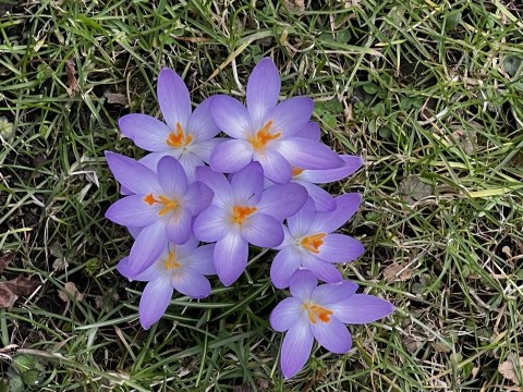 This 3.5-Mile Trail In Cleveland Is Covered In Wildflower Blooms In The Springtime